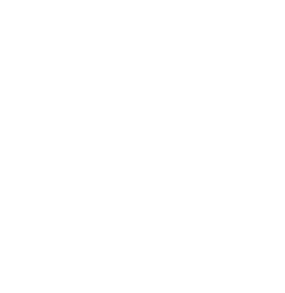 The Spree Group Real Estate Team logo